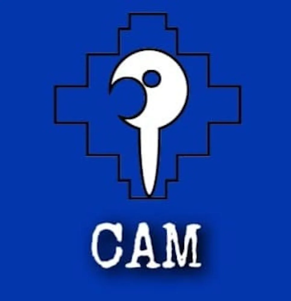 Coordinadora Arauco Malleco (CAM)